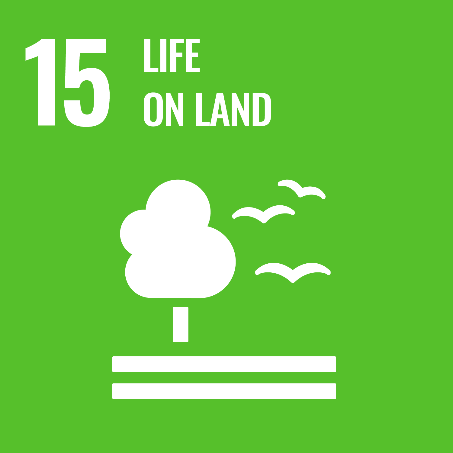 Goal number 15 - Life on land