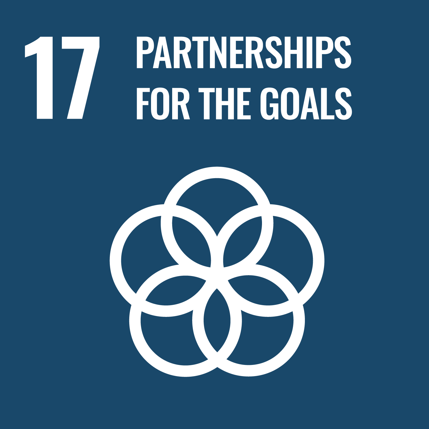 Goal number 17 - Partnerships for the goals